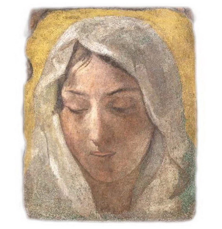 Testa femminile - Accademia di Belle Arti di Brera, Milano